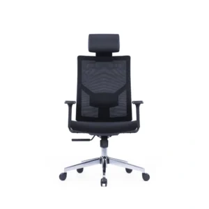 CanvasX